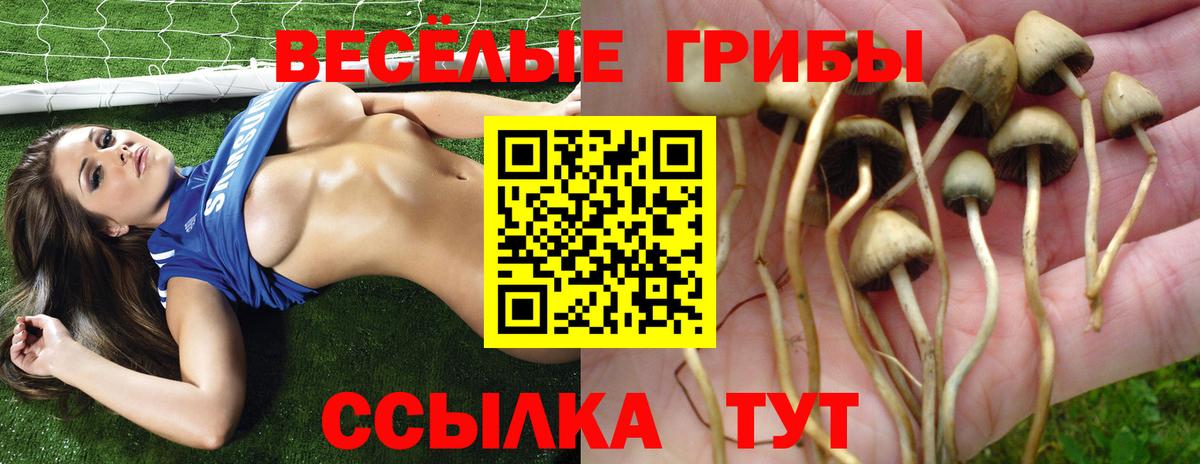 COCAIN  Меф МЯУ МЯУ   LSD-25  Наркошоп  Котлас  ГАШИШ  Вход с VPN  Экстази  ГАШИШ 