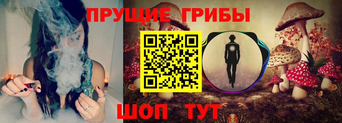 Галлюциногенные грибы GOLDEN TEACHER Котлас