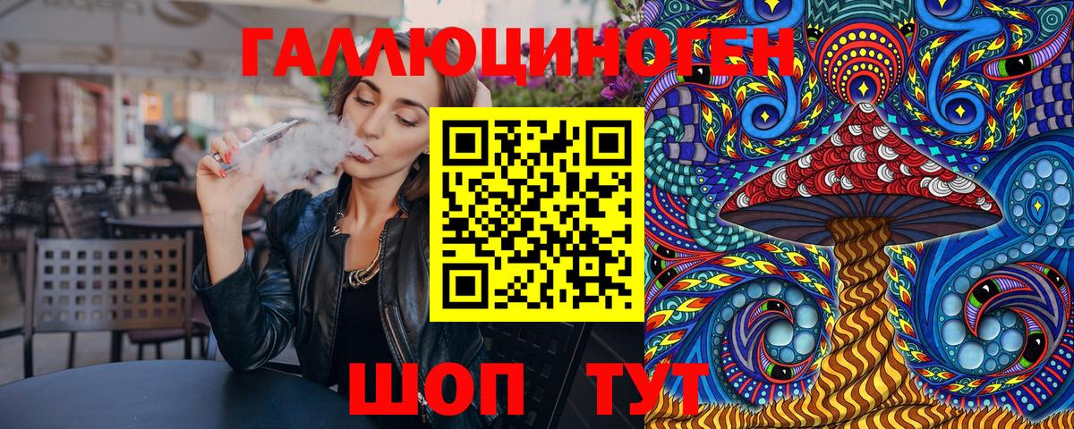 Котлас  Псилоцибиновые грибы Psilocybe  Вход с VPN 